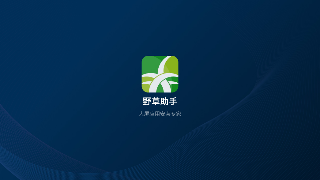 野草电视助手 图1