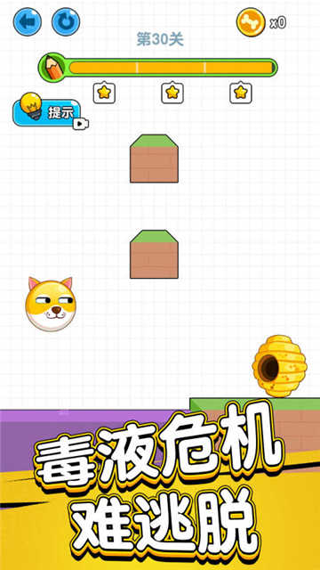 狗狗肿么了图2