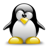 Linux Deploy 