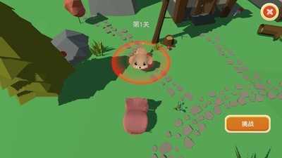 格斗小动物图1