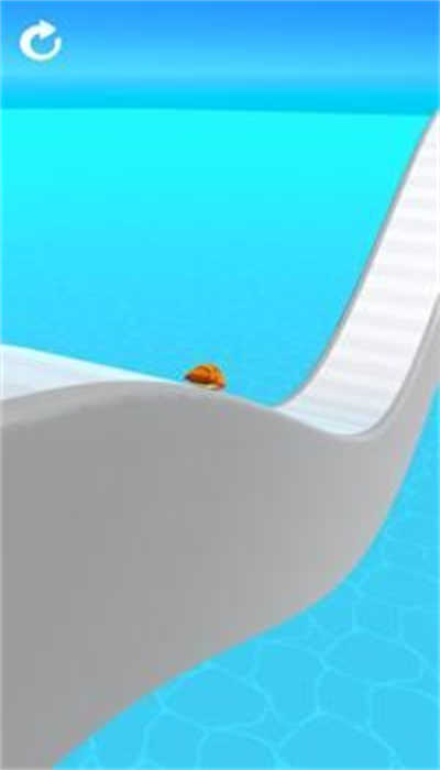 海龟赛跑3D(Turtle Race 3D)图2
