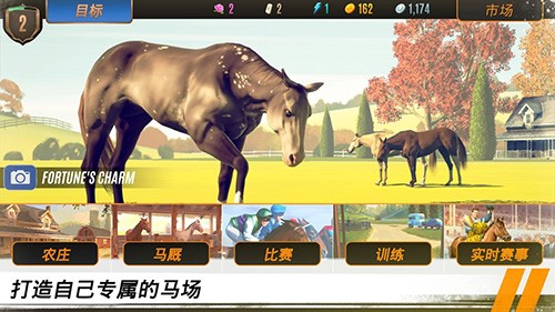 家族传奇马匹养成竞技安卓版截图4
