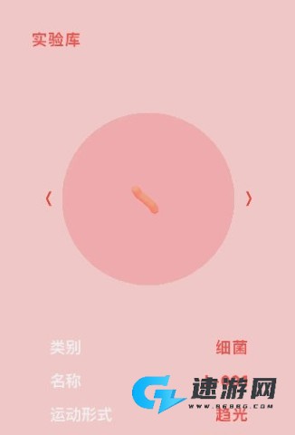 微观micro图2