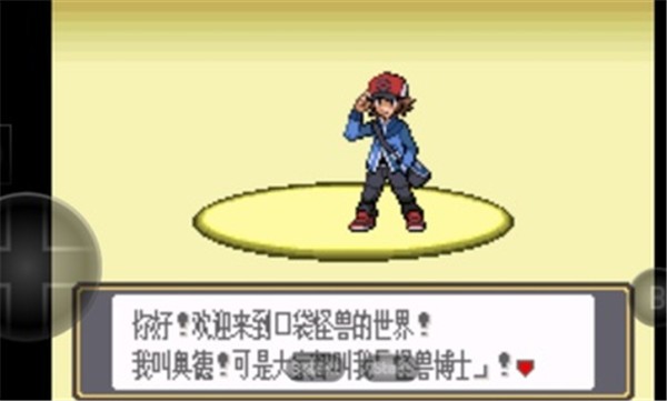 口袋妖怪黑白(3)