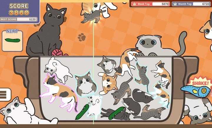 猫三重奏图5