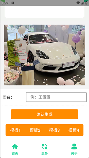 保时捷Pamela生成器 截图3