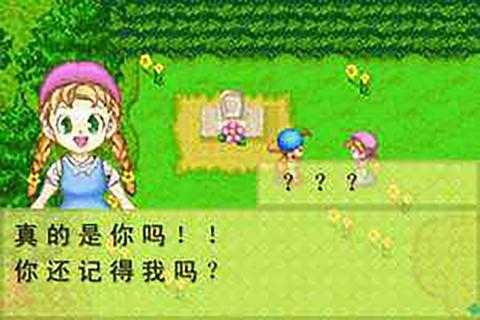 牧场物语正版图2