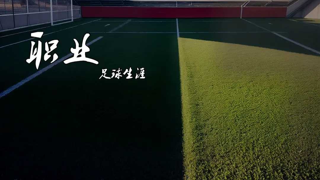 职业足球生涯图3