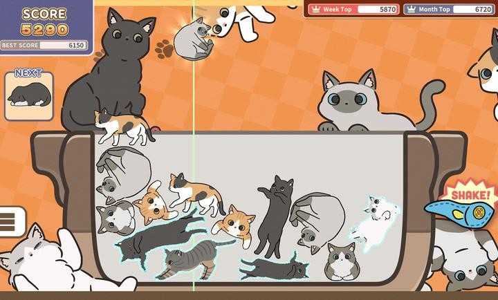 猫三重奏图3