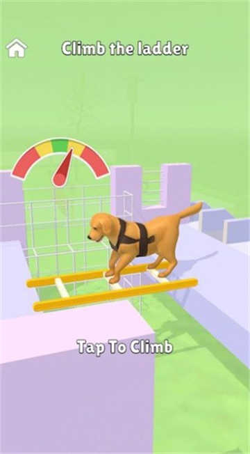 狗子特训营（Hyper Dog Training）-图3