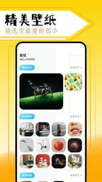 美剧鸟安装 图4