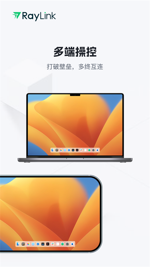 RayLink手机版-图3