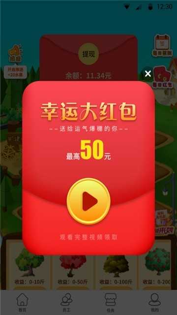 开心小果园图3