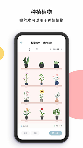 柠檬喝水图5