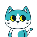 东呈青猫会最新版