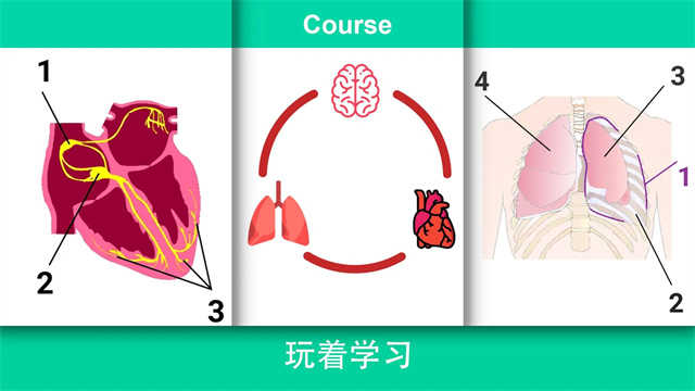 Reanimationinc模拟器手游免费版图4