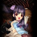 华之悲鸣游戏无广告版