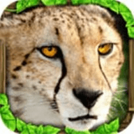 猎豹模拟器正版 v1.1