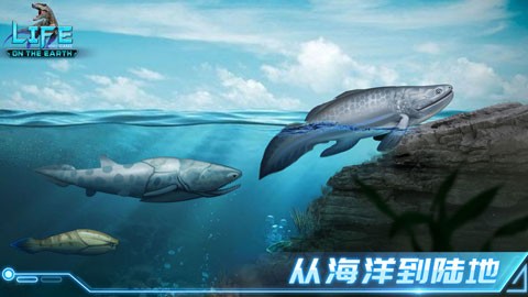 生命简史古生物手游版图2