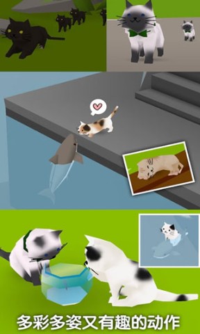 猫猫与鲨鱼手机正版图3