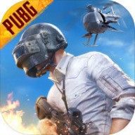 pubg国际服亚服直装版