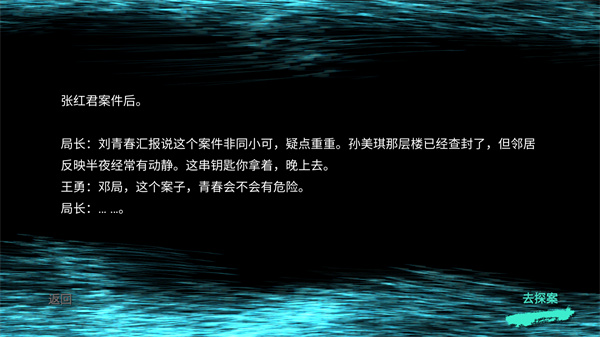孙美琪疑案王勇官方最新版图1
