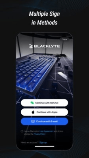 Blacklyte图2