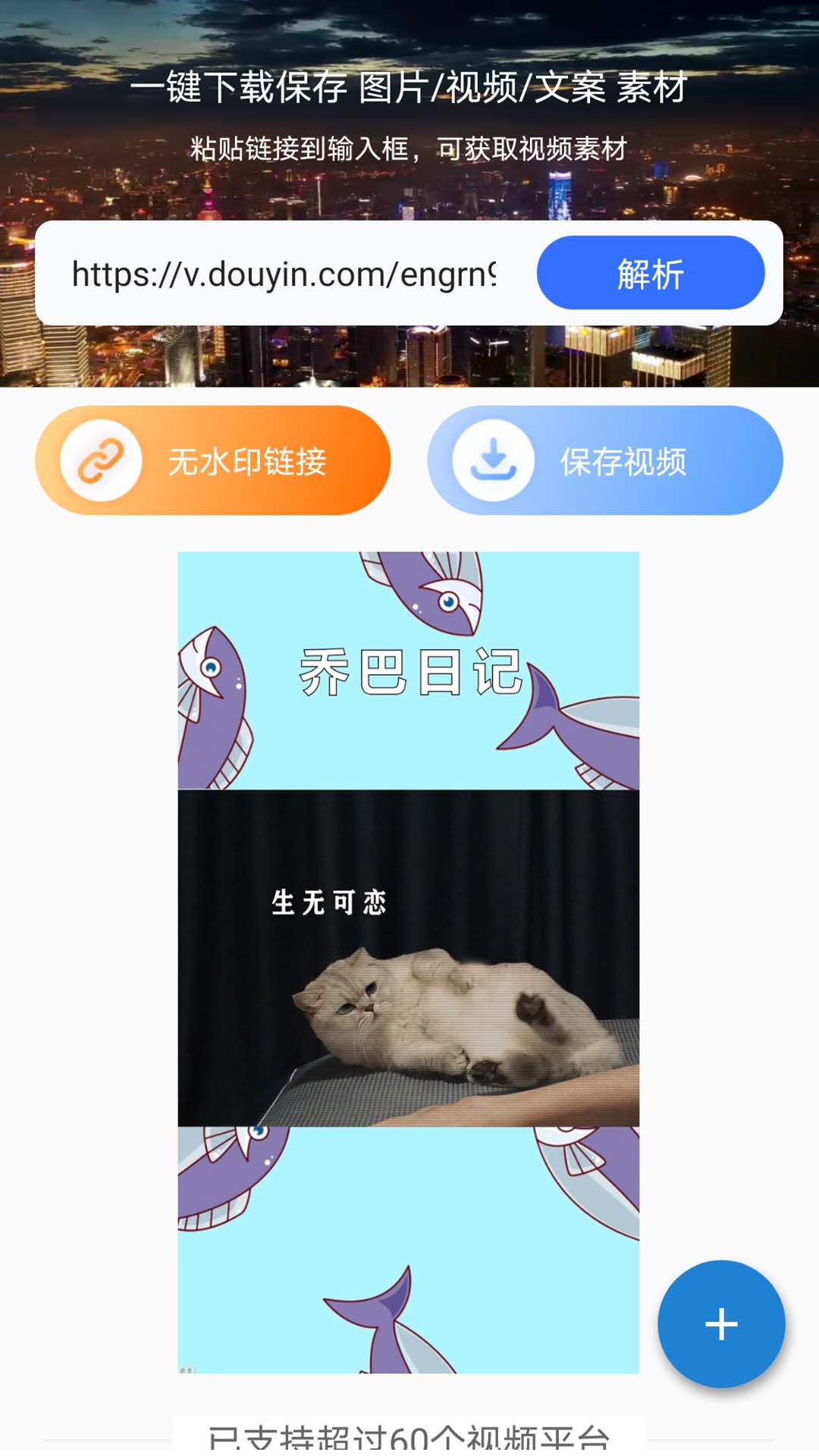 松鼠去水印图2