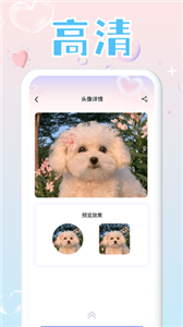 头像研究所手机最新版图2