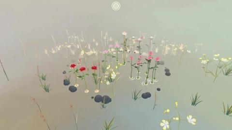 罗莎花园正版图2