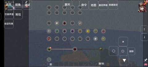 我的世界幻想的地下城(2)