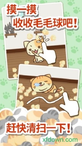 猫咪的毛(2)