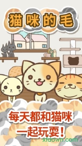 猫咪的毛(3)