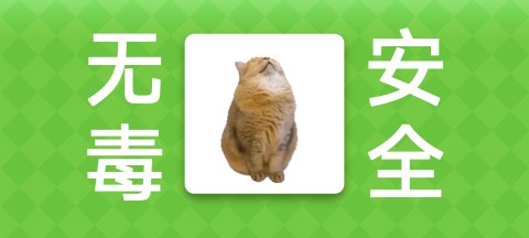 Meme的毒药手机免费版图2
