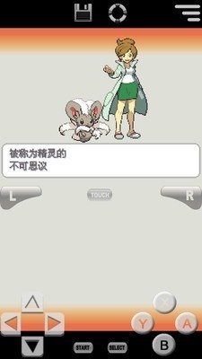 口袋妖怪白2最新版(4)