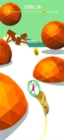 Flippy Coin
