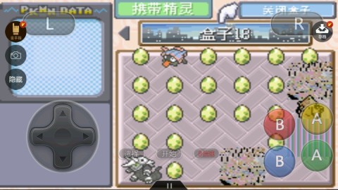 口袋妖怪究极绿宝石(2)