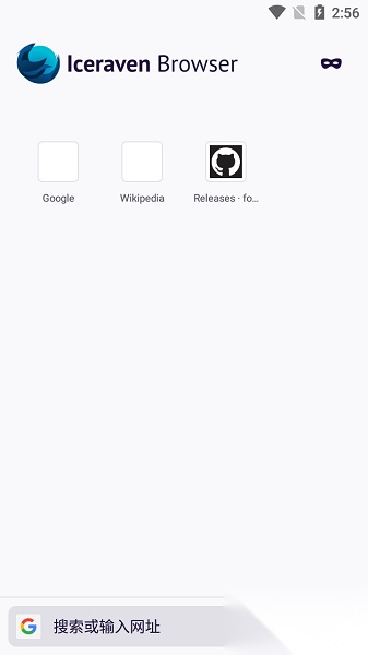 Iceraven浏览器最新版图2