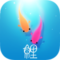 鲤重制版