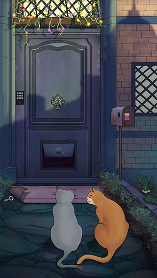流浪的橘猫侠2026