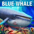 深海蓝鲸模拟BlueWhaleSimulator游戏安装包