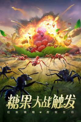 小小蚁国免费原版图1