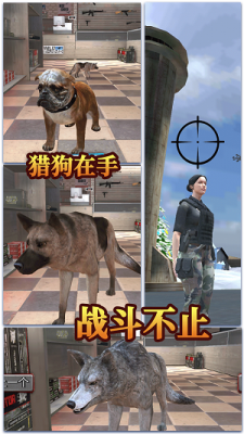 城市女侠英雄1