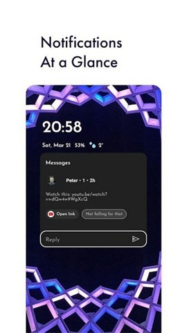 niagaralauncher图3