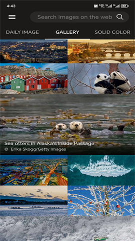 Bing Wallpaper图4