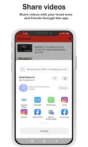 flash player(3)