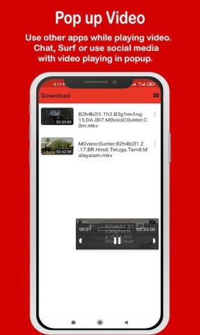 flash player(1)