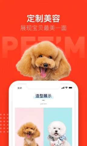 宠物家图1