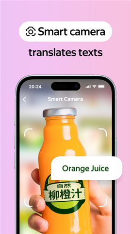 YandexBrowser原版图1