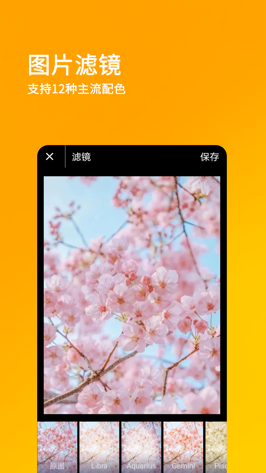 刷圈兔最新版(1)